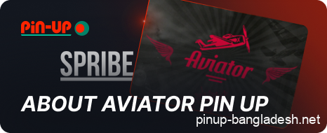 Pin Up Aviator Game Description