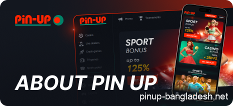 Description of Pin Up in Bangladesh