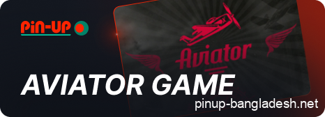 Crash game Aviator online in casino Pin Up Bangladesh
