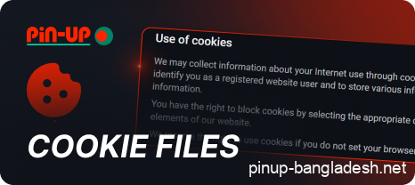 PinUp BD Cookies