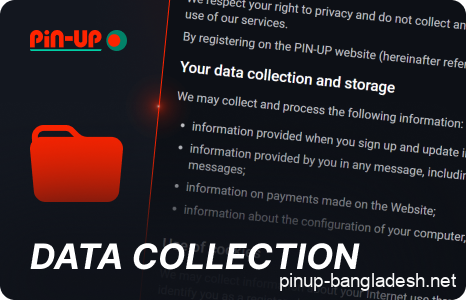 What kind of data Pin Up collects