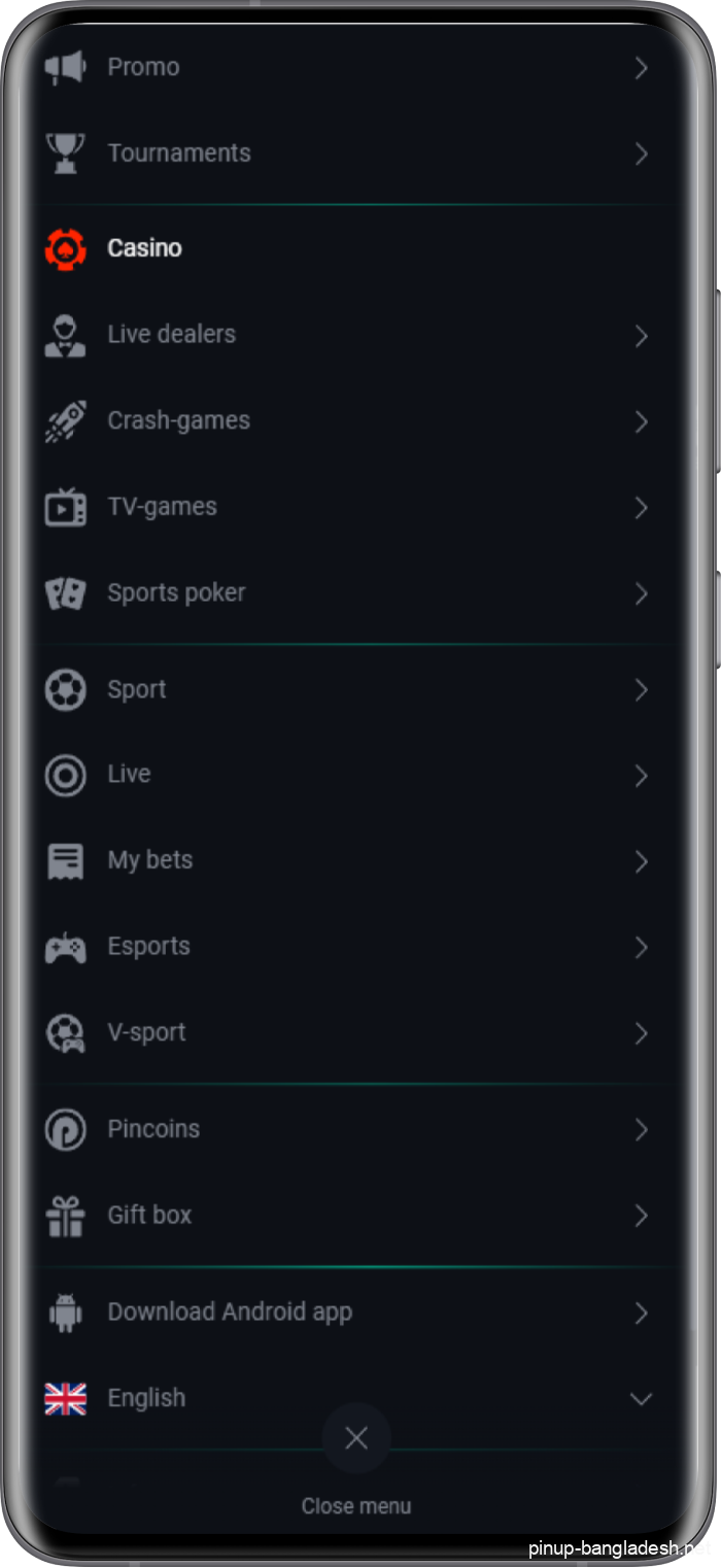 PinUp BD App Menu