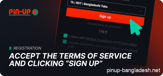 Accept the terms and complete the registration in Pin Up