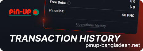 Payment history in Pin Up profile