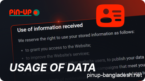 How Pin Up uses user data